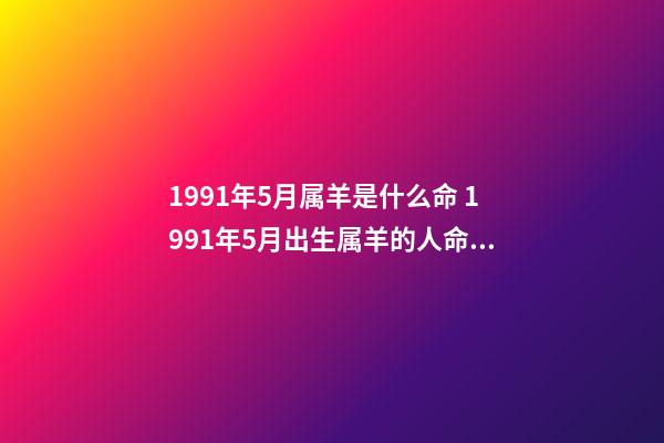 1991年5月属羊是什么命 1991年5月出生属羊的人命运好坏-第1张-观点-玄机派